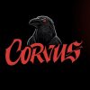 Corvus